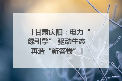 甘肃庆阳：电力“绿引擎” 驱动生态再造“新答卷”